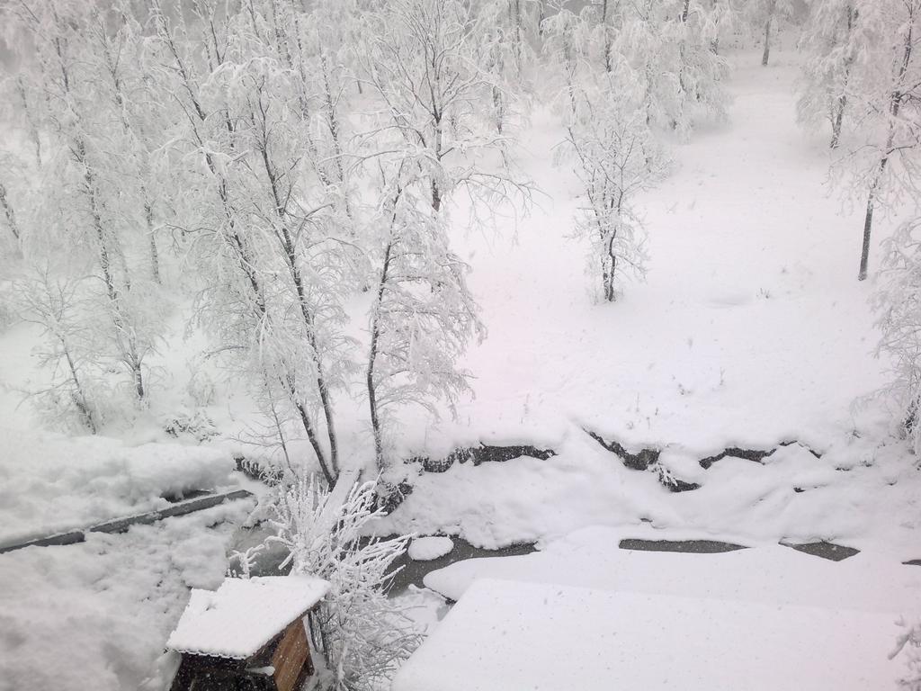 Vila Vanturis Otel Sinaia Dış mekan fotoğraf