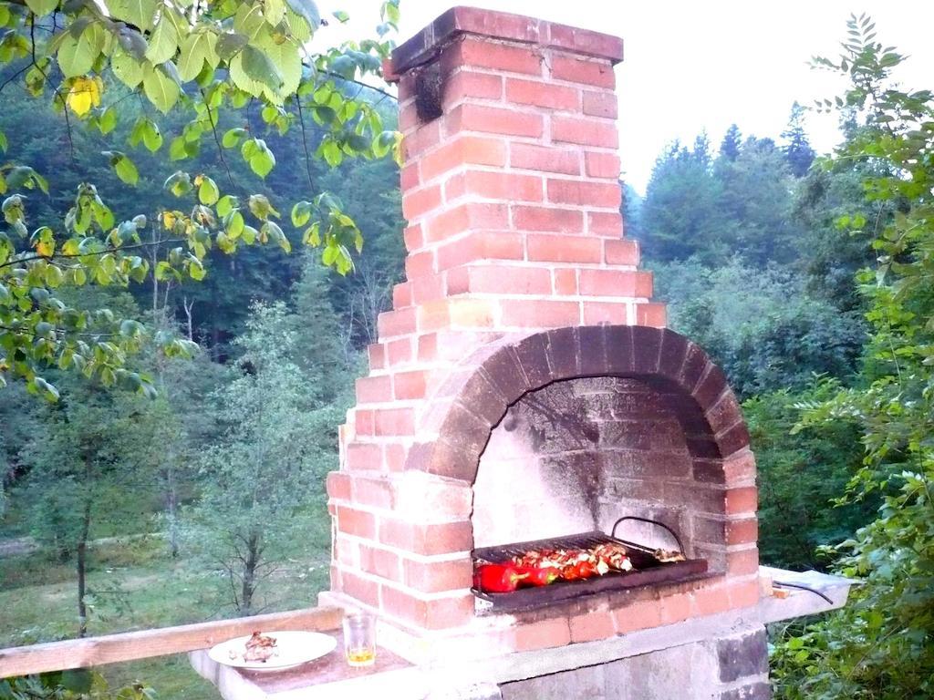Vila Vanturis Otel Sinaia Dış mekan fotoğraf