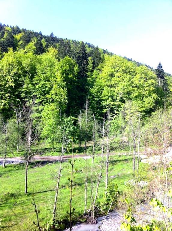 Vila Vanturis Otel Sinaia Dış mekan fotoğraf