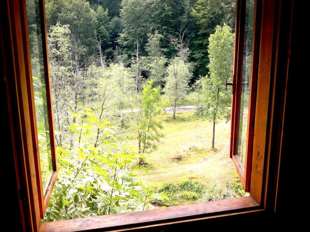 Vila Vanturis Otel Sinaia Dış mekan fotoğraf